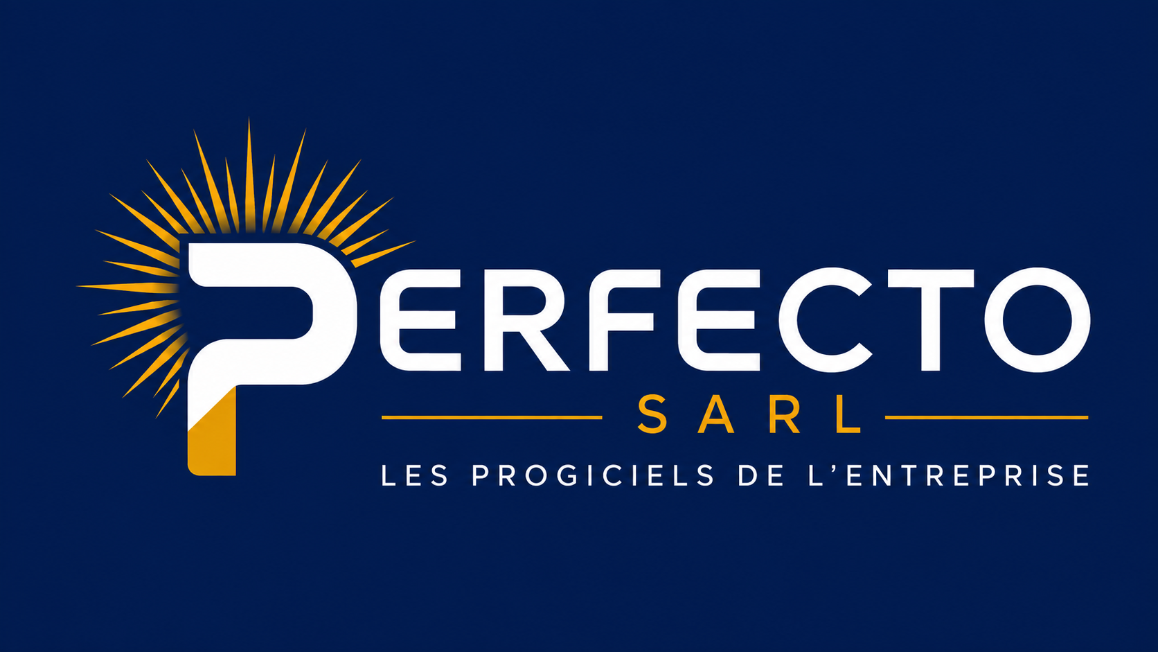 Perfecto SARL — Les progiciels de l’entreprise